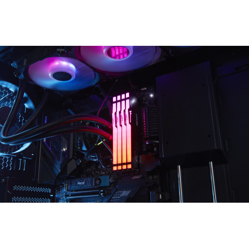 Kingston FURY Beast RGB Black Memoria RAM DIMM 32GB Kit 2x16GB DDR5 6800MHz CL34 - Hardware y Componentes Gaming